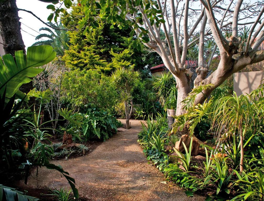Singa Lodge - Lion Roars Hotels & Lodges Puerto Elizabeth Exterior foto